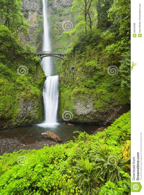 Multnomah Falls In The Columbia River Gorge Oregon Usa Stock Image