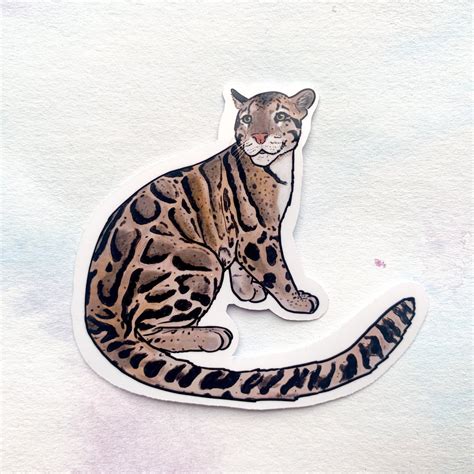 Clouded Leopard Portrait Sticker Cat Sticker Waterproof Etsy