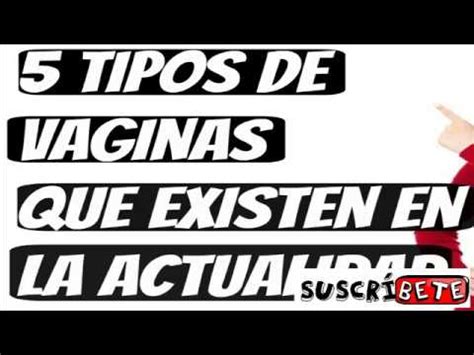 Tipos De Vaginas Que Existen Youtube