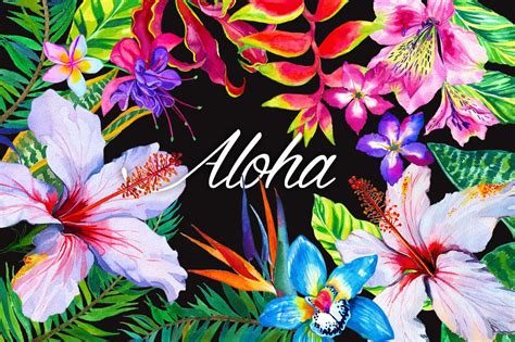 Aloha Hawaii Wallpapers 4k Hd Aloha Hawaii Backgrounds On Wallpaperbat