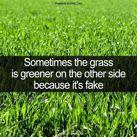 Sometimes The Grass Is Greener On The Other Side Funny Quotes Words Of Wisdom Inspirational