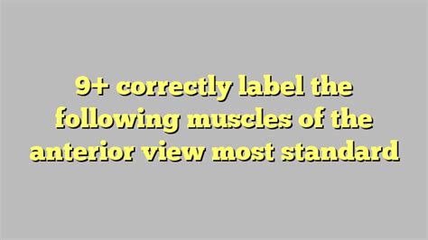 9 Correctly Label The Following Muscles Of The Anterior View Most