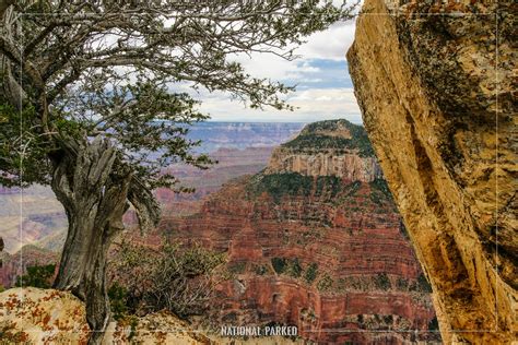 North Rim Entrance Road To Grand Canyon National Parked