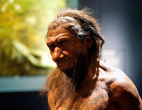 Ancient humans may have been better at breathing than we are today - BGR