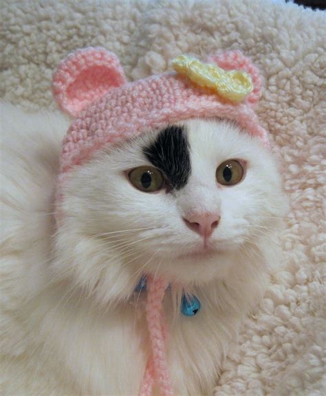 This Item Is Unavailable Etsy In 2021 Crochet Cat Hat Crochet Cat