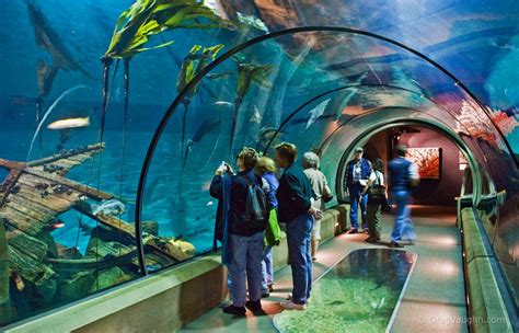 Tourism Oregon Coast Aquarium