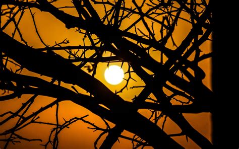 Download Wallpaper 3840x2400 Sun Branches Silhouette Sunset Sky 4k