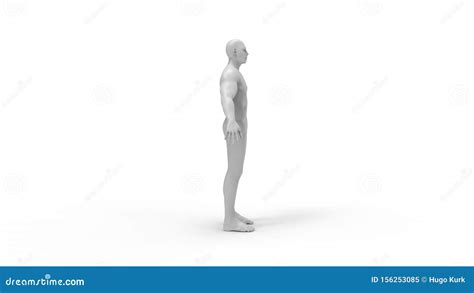 Human Body 3d Rendering Of A Human Body Isolated In White Background