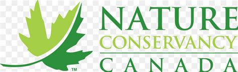 Nature Conservancy Of Canada The Nature Conservancy Logo Nature Canada