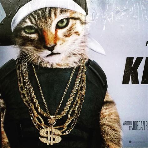 Gangsta Feline By Themajestirium1 Cat Movie Free Movies