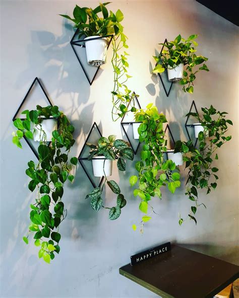 11 Creative Ways To Display Indoor Plants Indoor Plant Wall Hanging