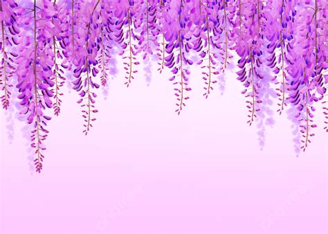 Pink Purple Shading Seamless Wisteria Flower Purple Background