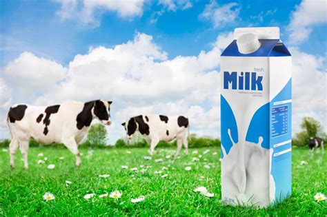 Soy Milk May Not Be The Answer To Cows Milk Samui Times