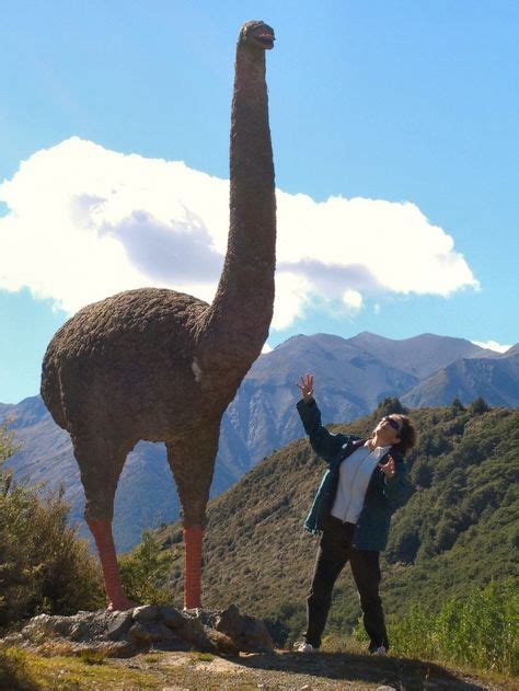The Giant Moa New Zealand Extinct Flightless Bird Animais Dinossaurs