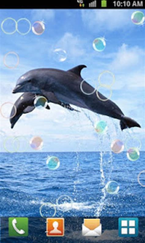 Dolphin Live Wallpaper Apk For Android Download