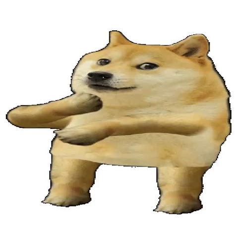 Doge Dance Memes Piñata Farms The Best Meme Generator And Meme