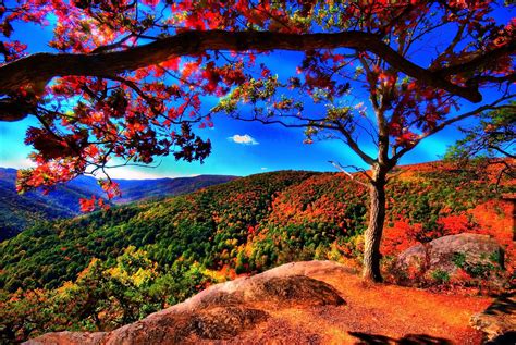 Autumn Landscape Nature Photography Breathtaking Photography