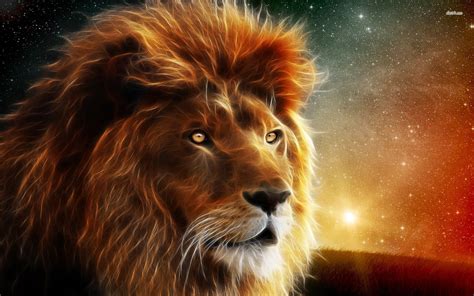 70 Cool Lion Wallpapers On Wallpaperplay