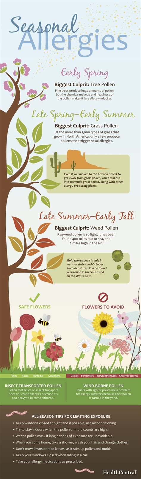 Andi Simons » Seasonal Allergies Infographic | Seasonal allergies, Infographic health, Allergies
