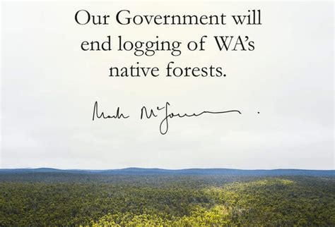 Wa Ends Native Forest Logging Tasmanian Times
