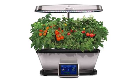 It can grow up to 6 plants including lettuce, flowers, and herbs, an ideal size for new gardeners. Aerogarden Harvest vs. Aerogarden Harvest Elite