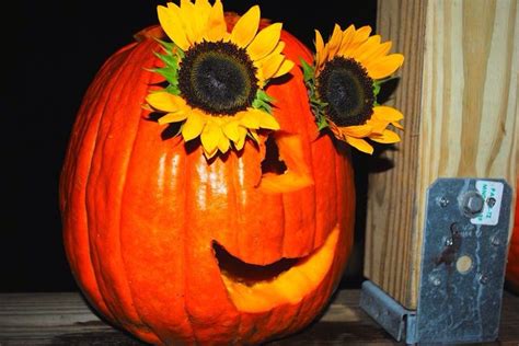 Using Sunflowers For Pumpkin Carving Pumpkin Carving Holidays And