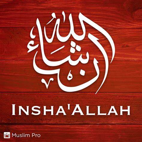 Insha Allah Kaligrafi Gambar Pedia