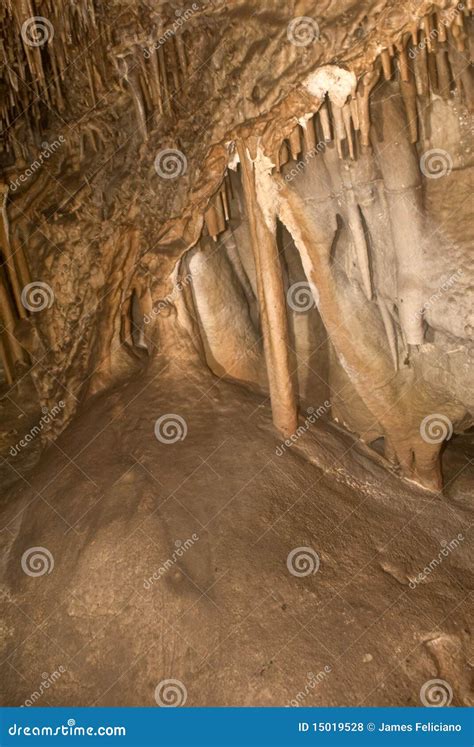 Cave Column From Lehman Cave Stock Photo Image Of National Geologic