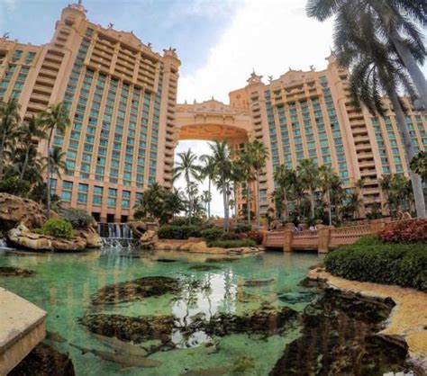 What Are The Best Things To Do At Atlantis Paradise Island And Beyond