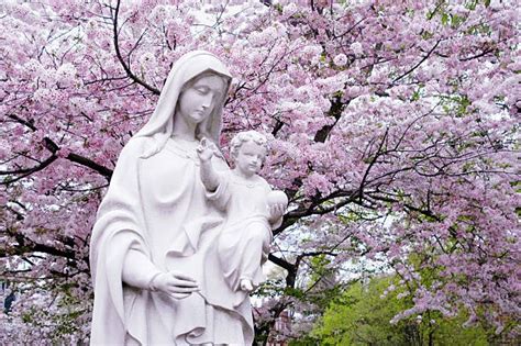 Souvenez Vous ô Très Miséricordieuse Vierge Marie Sedifop