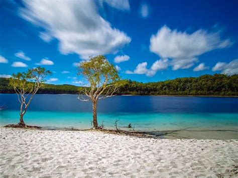 Explore the world's largest sand island. 15 Photos That Will Make You Want to Visit Fraser Island ...