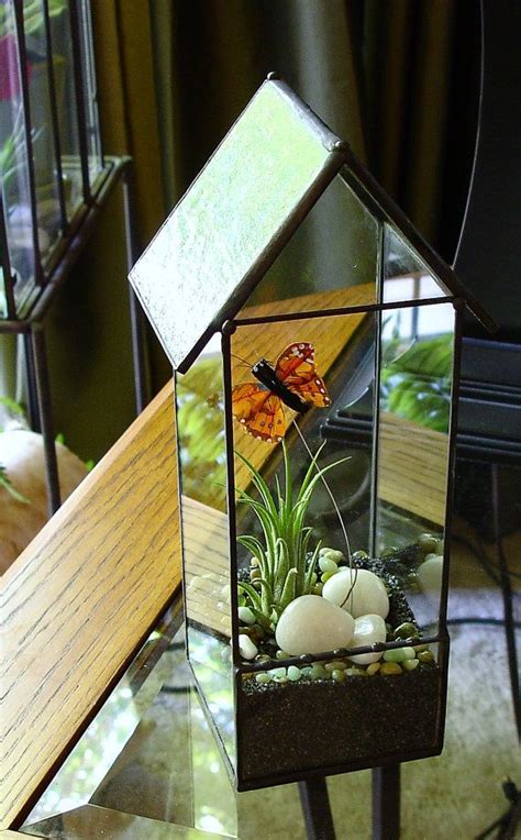How to make butterfly house from cardboard diy at home by long gear. Butterfly House Terrarium, Glass Terrarium Planter with ...