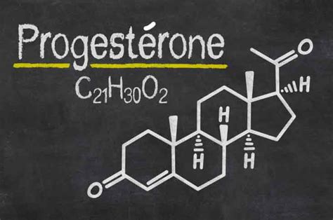 Minuscule Violation Assistant Progesterone Et Prise De Poids Biens Sabrer En Réalité