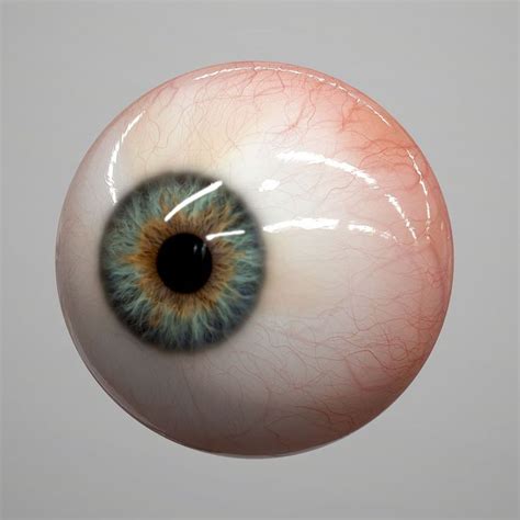 Ma Eye Realistic Human Realtime Eyeball Art Eye Art Human Eyeball