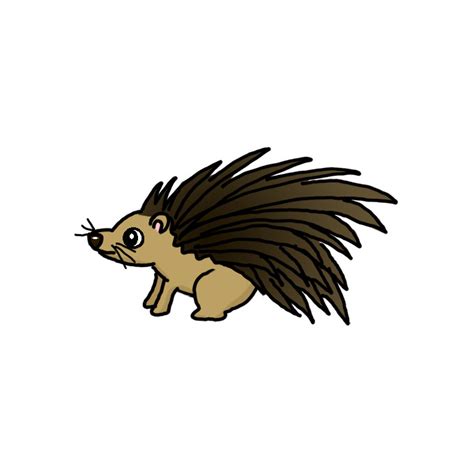 Porcupine Drawing For Kids
