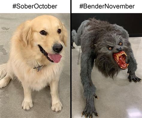 Sober Vs Bender Dog Vs Werewolf Know Your Meme
