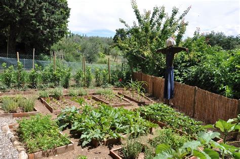 More than 50 gardens open their gates to the public saturday, june 15, with tours community gardens are designed to welcome all gardeners, whether seasoned veterans or. Information On When To Plant Your Vegetable Garden