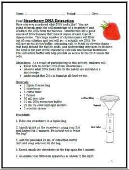 This information can be used to improve crops so that they are more resistant to disease, insect invasion or changes in climate. Exploring DNA: Strawberry DNA Extraction Lab by Science ...