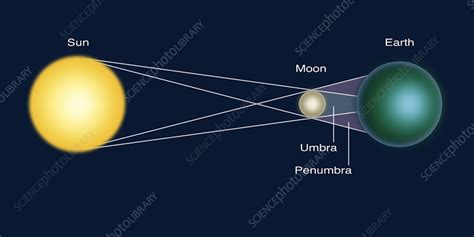 Solar Eclipse Diagram Stock Image F0318332 Science Photo Library