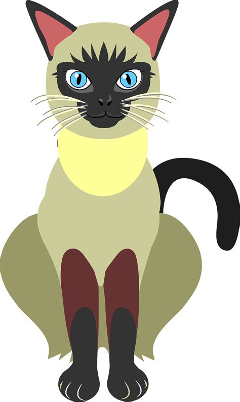 Siamese Cat Png High Quality Image Png All