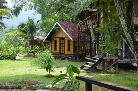 Teratak kabung is an accommodation in pahang. Janda Baik Pahang: TERATAK MELAYA