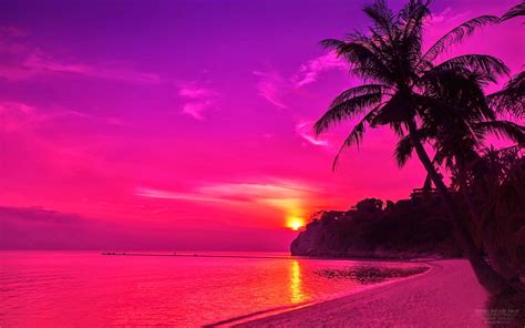 Tropical Sunset Pink Beach Wallpaper