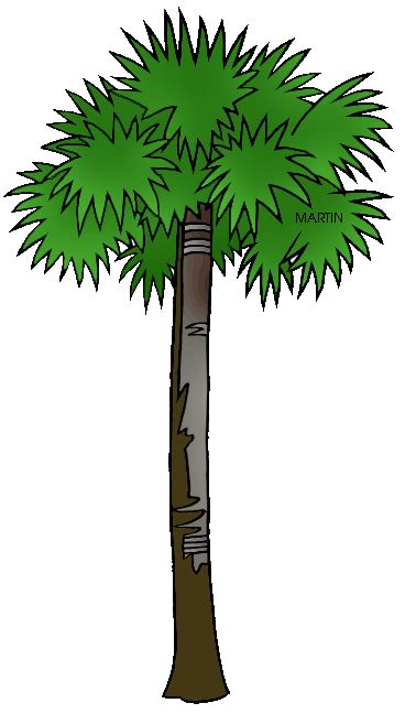 South Carolina Palmetto Tree Vector Clipart Best