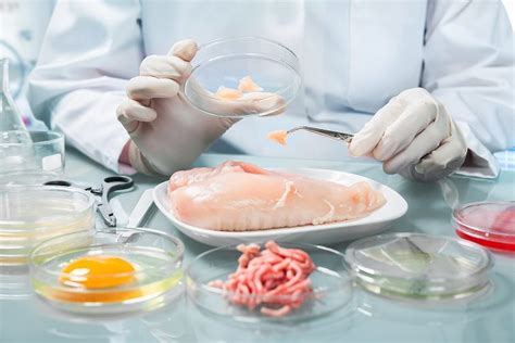 What Are The General Parameters For Testing Of Food Articles