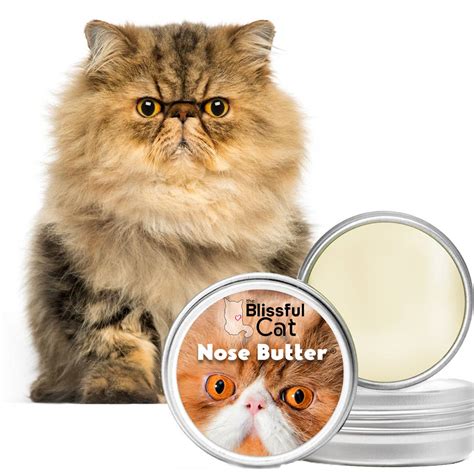 The Blissful Cat Cat Nose Butter In Tins Katzenworld Shop