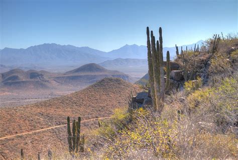 Himmel Hauslieferung Sieger Mexican Wild West Zuf Llig Empfangshalle Alarm