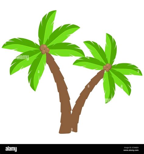 Descargar Este Vector Palmeras Tropicales Dibujos Animados Dos Cocoteros Curvos Aislados En