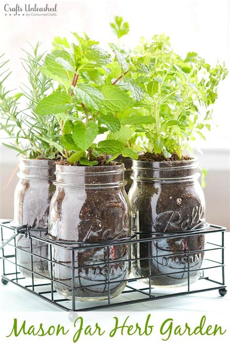 Diy Herb Garden In Mason Jars Crafts Unleashed Garden Easy