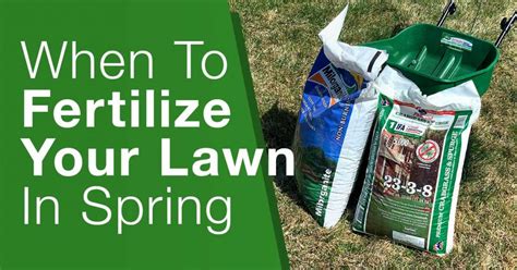 When To Fertilize Your Lawn In Spring Yard Advancement
