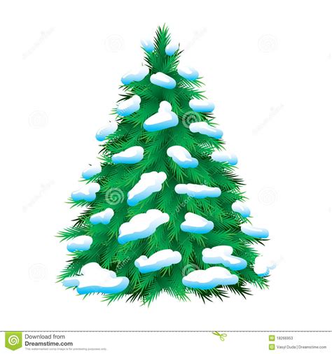 Green Fur Tree Covered With Snow Stock Photos Image